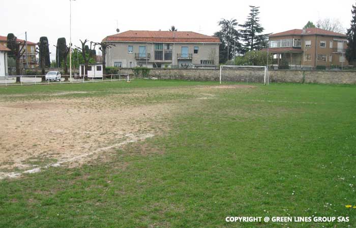 Green Lines Group: realizzazione di campi da calcio in erba naturale